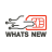 smsactivate