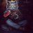 Dmitriy_fs23